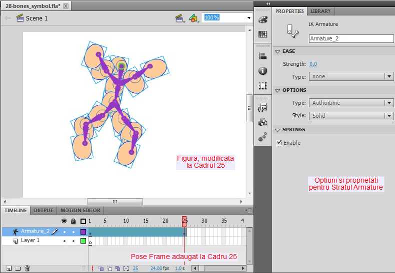 Proprietati Armature si Pose Frame