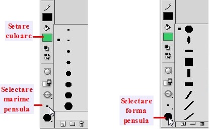 Culoare, marime si forma pensula