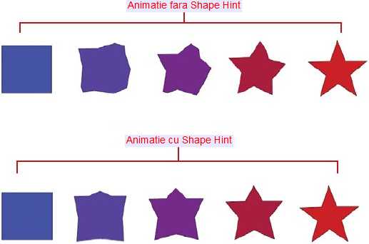 Diferenta data de Shape Hint