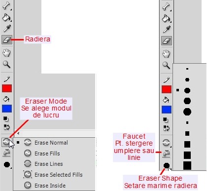 Radiera ( Eraser )