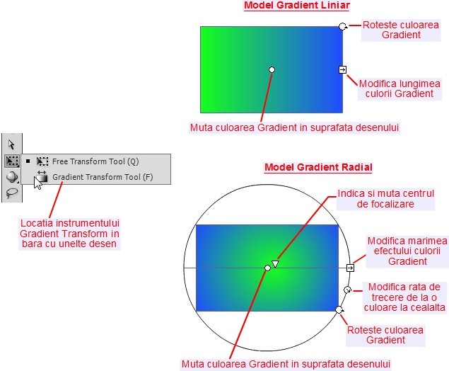 Gradient Transform