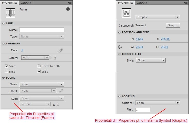 Panouri proprietati Instanta Symbol si Frame