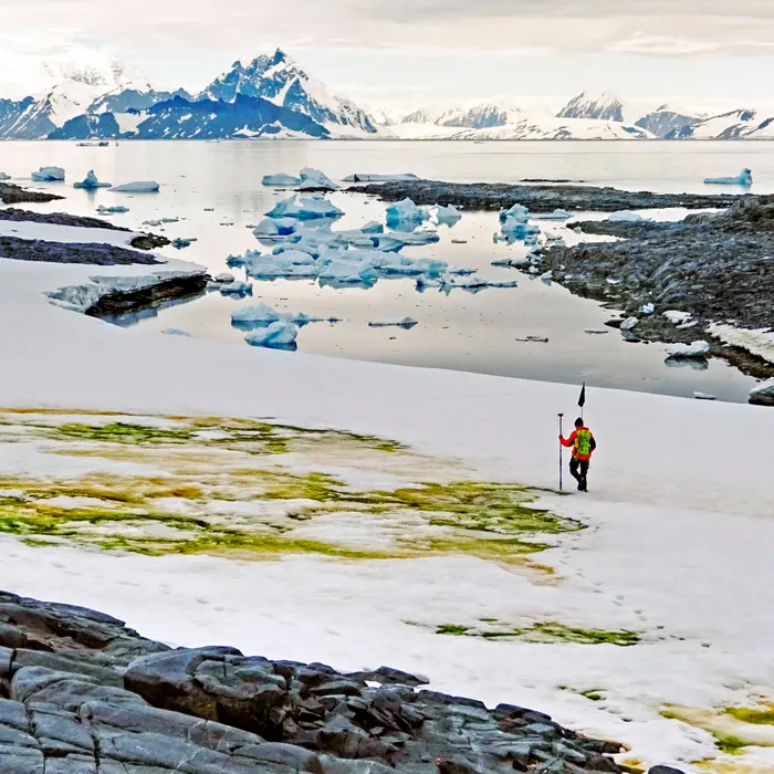 green areas in the Antarctic