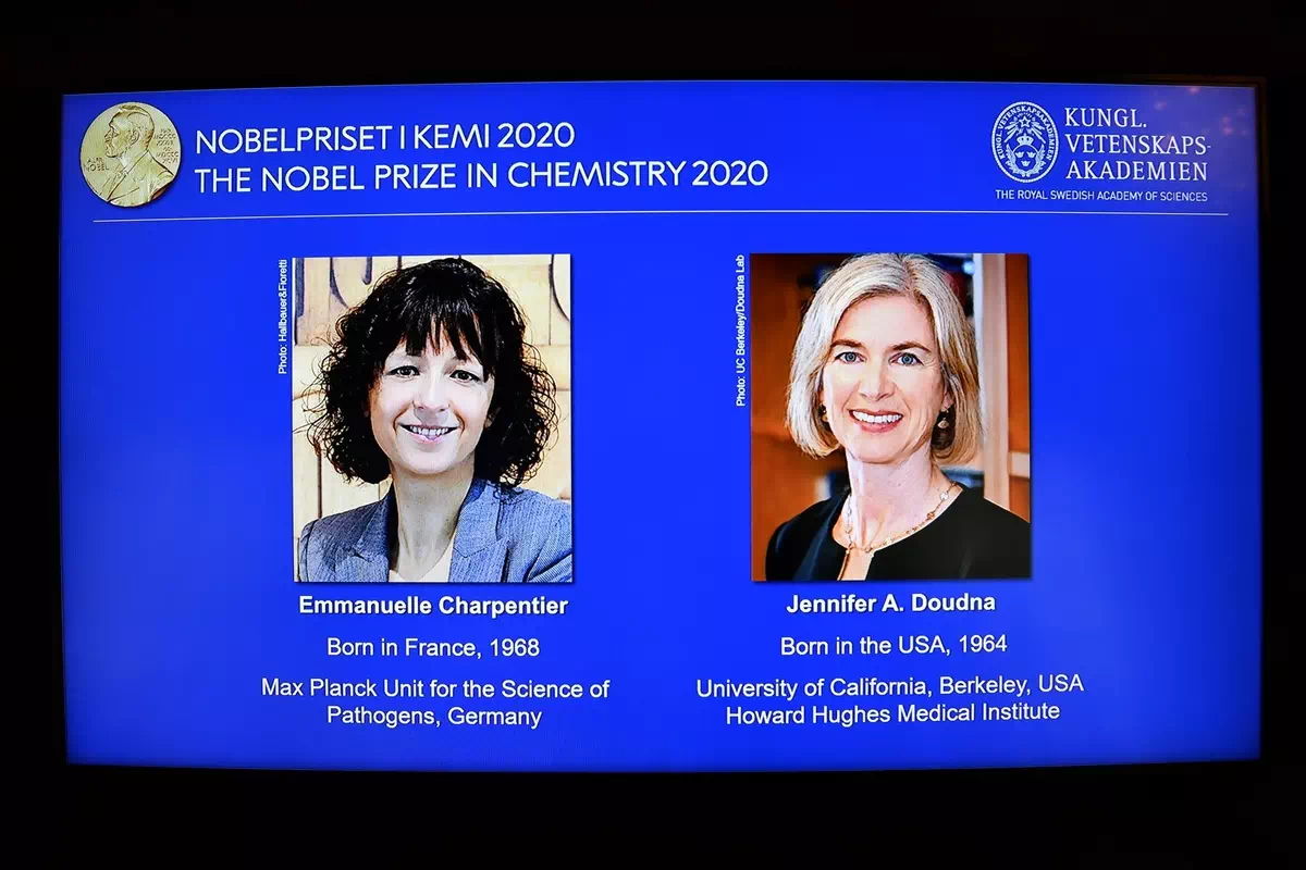 nobel chemistry 2020