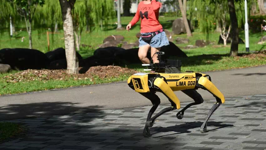 Singapore robot dog